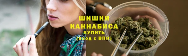 ГАЛЛЮЦИНОГЕННЫЕ ГРИБЫ Няндома