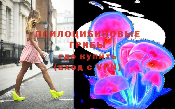 ГАЛЛЮЦИНОГЕННЫЕ ГРИБЫ Няндома