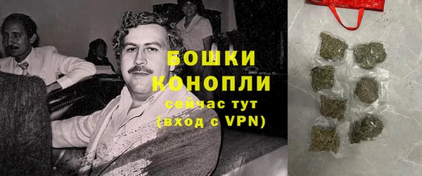 ГАЛЛЮЦИНОГЕННЫЕ ГРИБЫ Няндома
