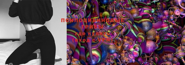ГАЛЛЮЦИНОГЕННЫЕ ГРИБЫ Няндома