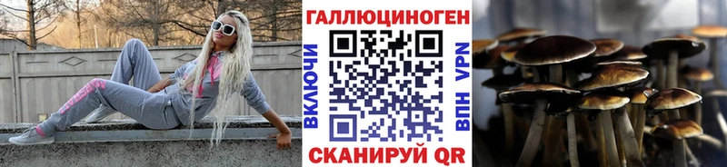 Галлюциногенные грибы Psilocybe  закладки  Руза 