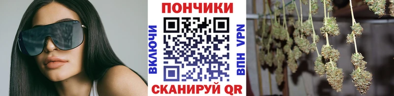 Бошки марихуана SATIVA & INDICA  купить наркотики сайты  Руза 